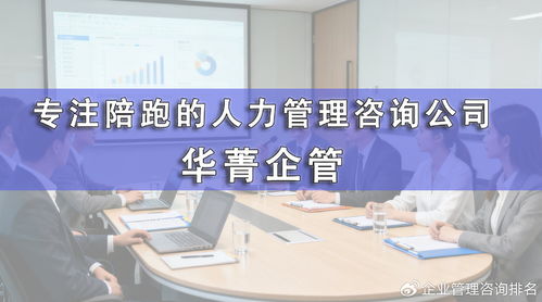 苏州清洁机器人公司人力体系搭建咨询公司,哪家落地好